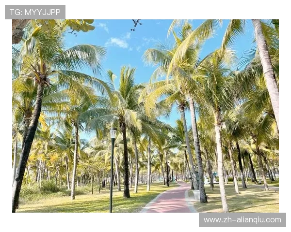 三亚娱乐场推荐：海滨度假娱乐项目全攻略